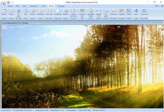 GIRDAC Image Editor and Converter Pro(智能图像编辑器)下载