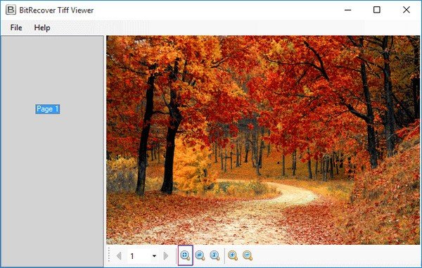 BitRecover Tiff Viewer(TIFF文件查看器)下载