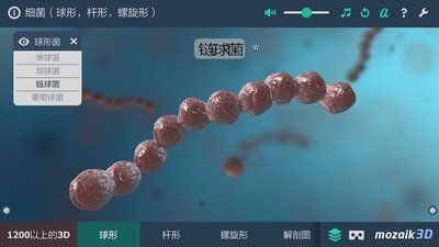 细菌互动教育3D软件截图0