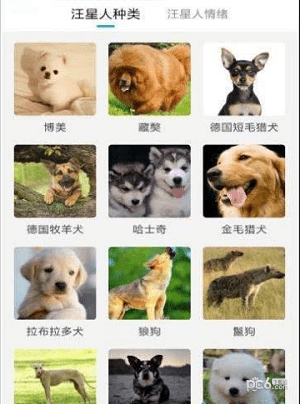 猫狗动物翻译器软件截图1