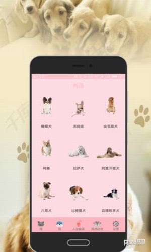 人猫狗翻译器软件截图0