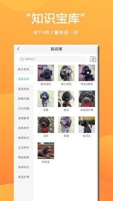 狗狗Bing商城软件截图3