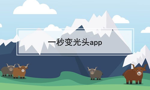 一秒变光头app