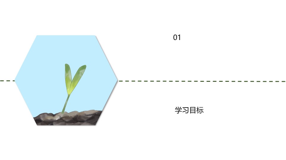 《再塑生命的人》PPT优质课件下载