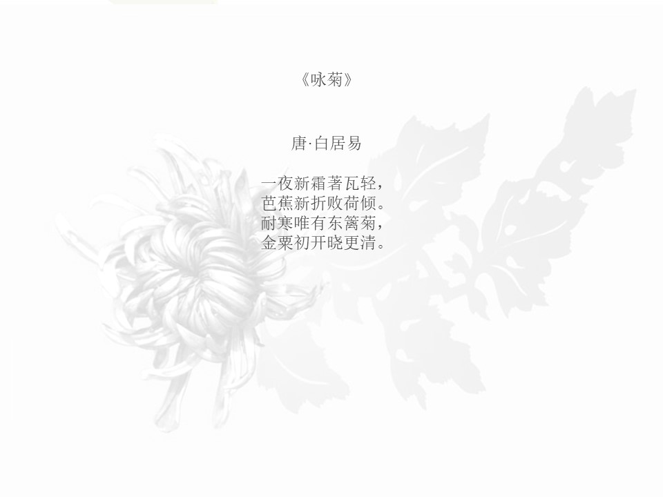 《傲霜篇》PPT课件4下载