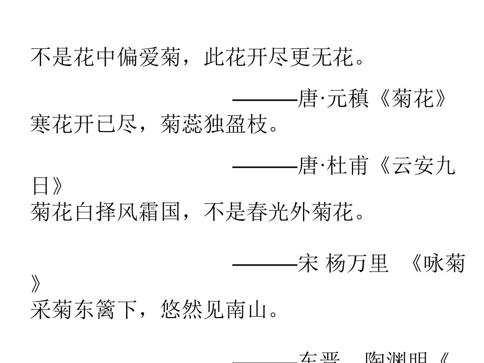 《傲霜篇》PPT课件下载