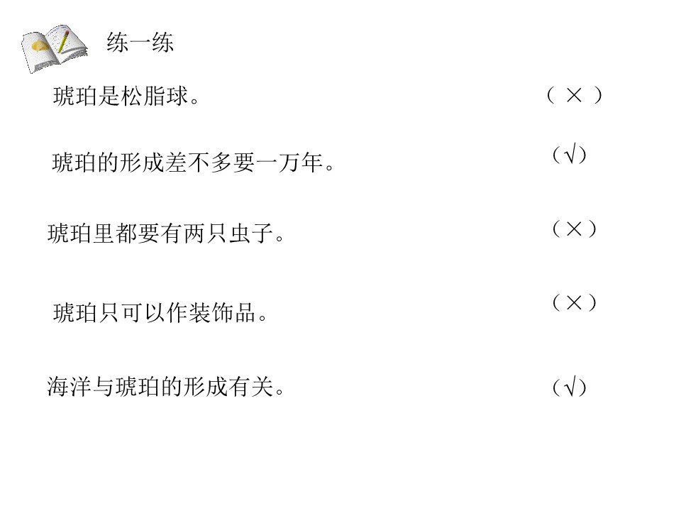 《琥珀》PPT课件4下载