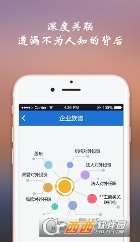 公司查询软件软件截图3