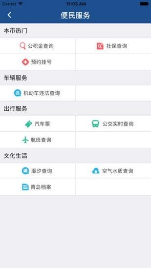 青岛12345网上投诉平台软件截图1