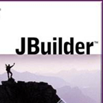 Jbuilder中文版