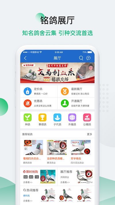 中国信鸽信息网软件截图1