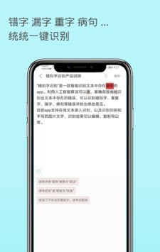 错别字识别软件截图1