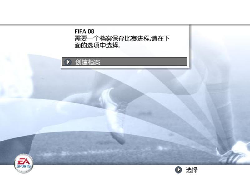 FIFA世界足球2008截图