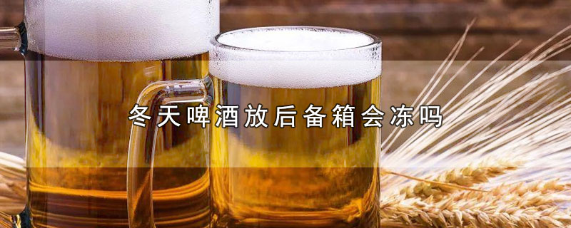 冬天啤酒放后备箱会冻吗