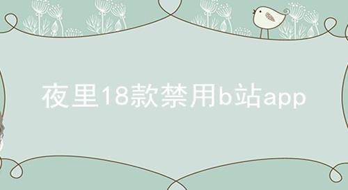 夜里18款禁用b站app