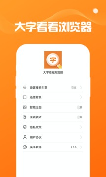 大字看看浏览器软件截图2