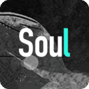 soul2025v5.6.1