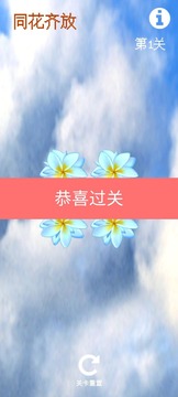 同花齐放软件截图1