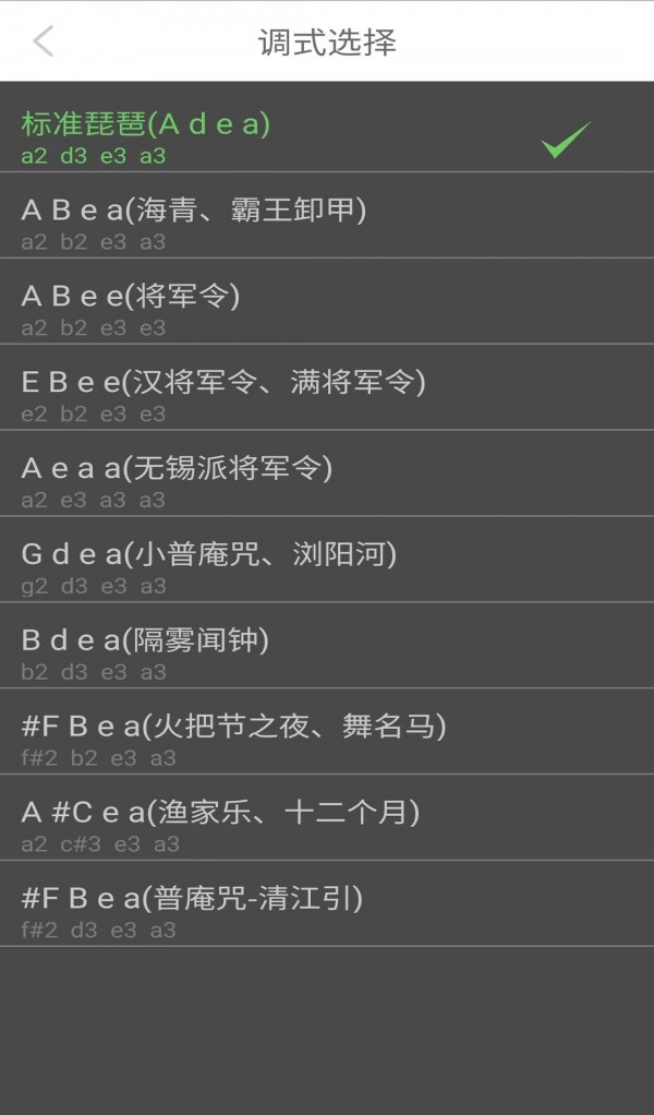 智能琵琶调音器软件截图1