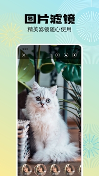 奇趣相机软件截图2