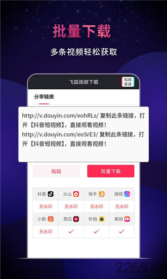 飞狐去水印软件截图3