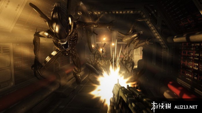 异形大战铁血战士（Aliens vs Predator）V1.0二项修改器LinGon版下载