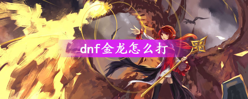 DNF金龙怎么打