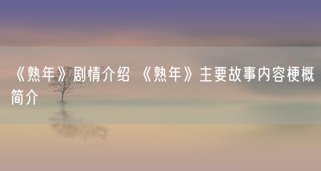 《熟年》剧情介绍 《熟年》主要故事内容梗概简介