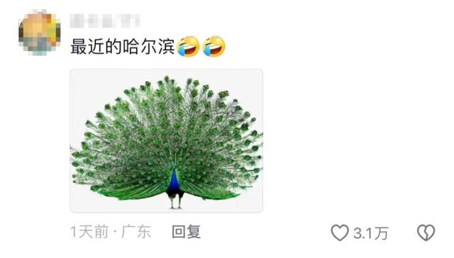 “尔滨你让我感到陌生”是什么梗 尔滨是什么意思