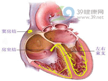 窦性心动过速是焦虑症吗，焦虑症会引起心动过速吗