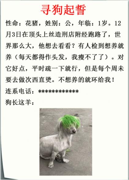 《疯狂梗传》寻狗启示录找出错别字通关攻略