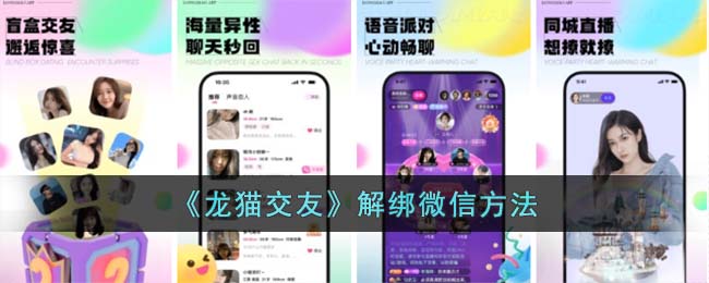 《龙猫交友》解绑微信方法