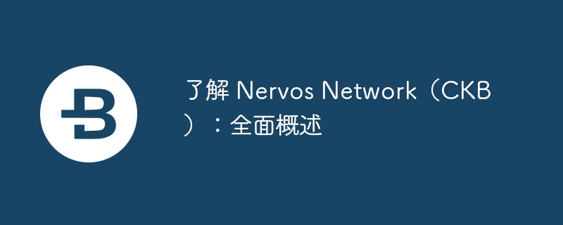 了解 nervos network（ckb）：全面概述