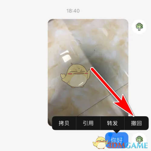 《小红书》撤回消息方法