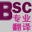 BSC专业翻译系统