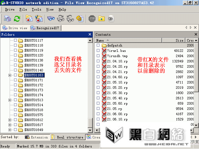 R-Studio挑选父目录名丢失的文件