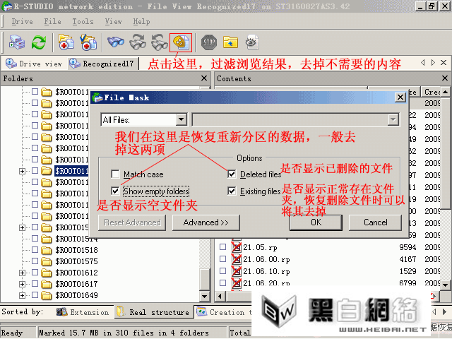 R-Studio过滤浏览结果