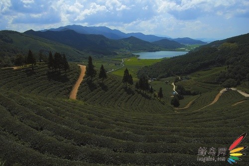 数码单反摄影与照片修饰-风景光线解析