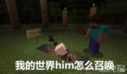 《我的世界》him怎么召唤