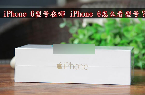 iPhone 6手机型号怎么看?