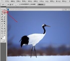 很简单！用Photoshop做水中倒影