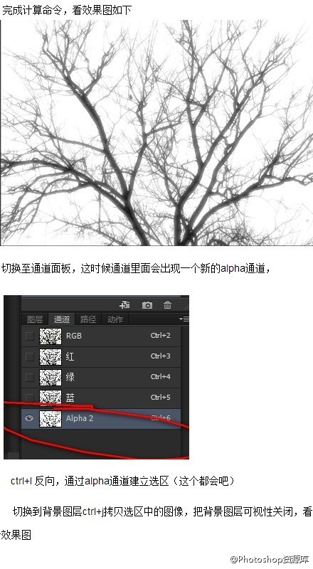 photoshop抠图教程 PS怎么抠图