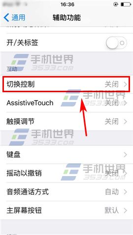 苹果iPhone6sPlus怎么设置切换控制