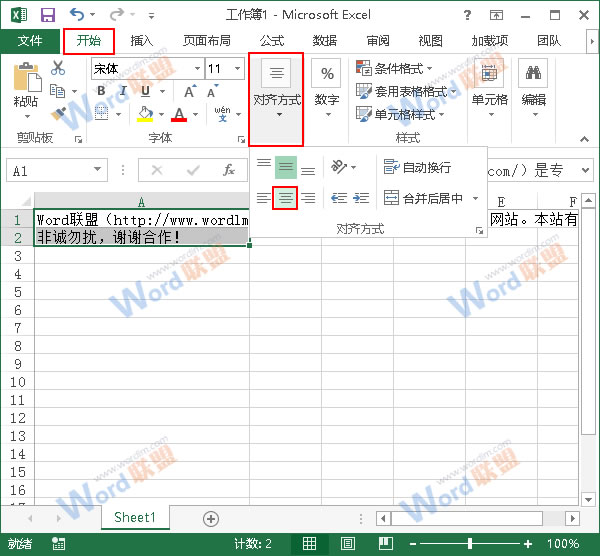 学一招，不烦恼！Excel2013如何进行排版？